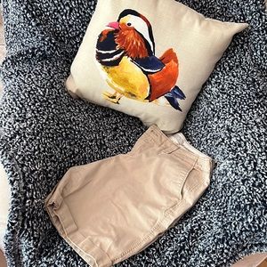 Old Navy. Low Rise shorts.